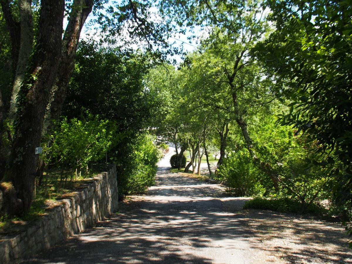 Camping Mas Du Sartre Saint Alban Auriolles المظهر الخارجي الصورة