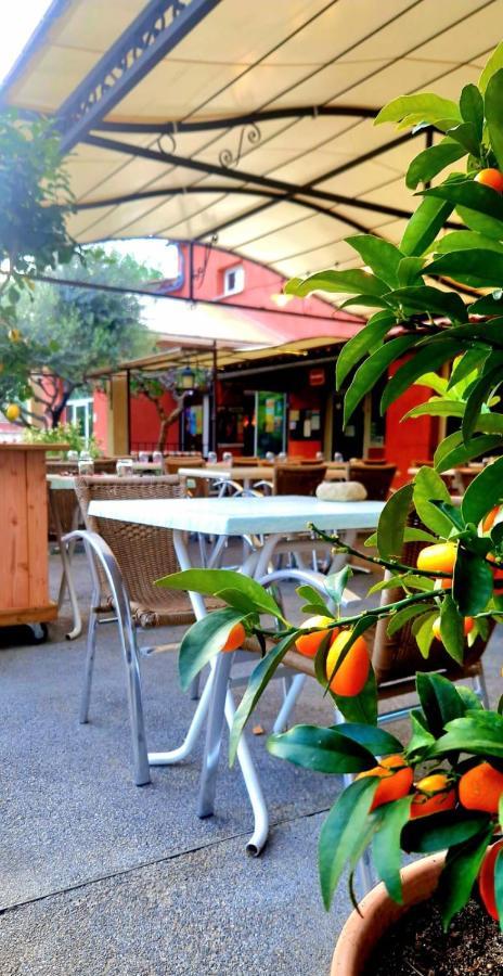 Camping Mas Du Sartre Saint Alban Auriolles المظهر الخارجي الصورة